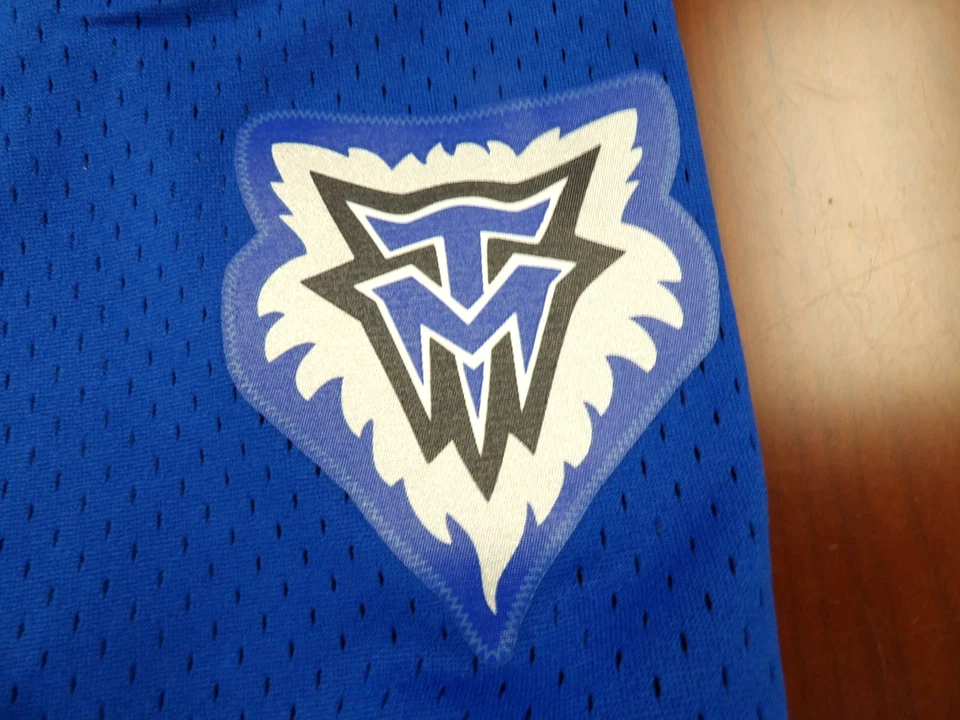 СИНИЕ ШОРТЫ СВИНГМЕНА MITCHELL & NESS NBA HWC MINNESOTA TIMBERWOLVES РАЗМЕР XL - Изображение 3 из 4
