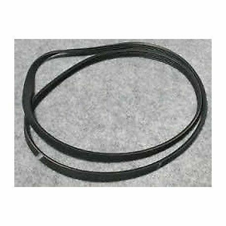 Cinghia Di Trasmissione Per Aspirapolvere Kirby - Sostitutiva 301291, Per Rullo Spazzola