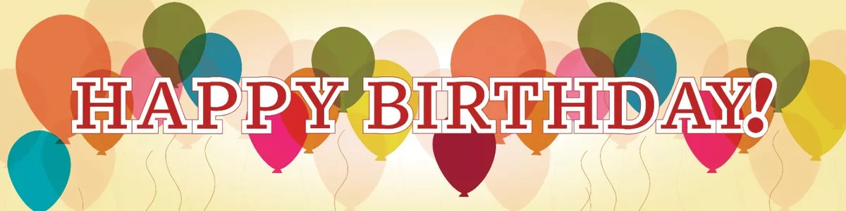 HAPPY BIRTHDAY Banner Indoor Outdoor Sign Kids Adults Surprise Birthday Party