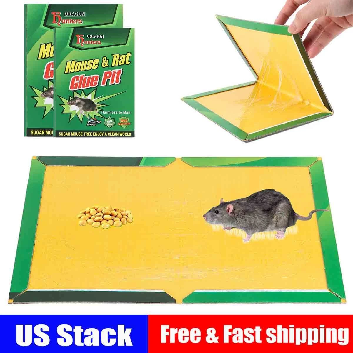 mouse-and-rat-glue-trap