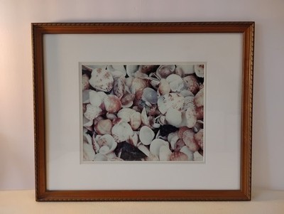 Beautifully Framed Vintage Picture Of Shell Beach St.Barts By Jennie A. Meares.