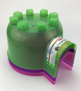 guinea pig igloo