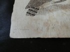 Bild 2 von 2