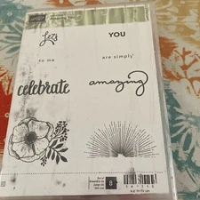 Stampin Up AMAZING YOU Flower Sunset Celebrate 