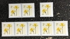 2024USA 5903 2c Daffodils - Coil Single  Pair  Strip of 5 Mint NH  flower