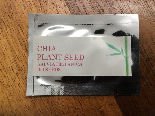 CHIA PLANT 100 SEEDS SALVIA HISPANICA SUPERFOOD EDIBLE HERB - Picture 2 of 4