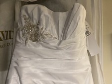 NWT Perfect Beach Wedding Dress from David's Bridal w/veil