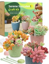 Microland Succulent Craft Kit-YC006A Clay Kit for Making Flowers