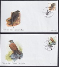 Belgium 2007 Fauna, Birds, Andre Buzin - FDC