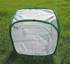 Collapsible Butterfly Moths Insects Plants Cage Mesh Habitat 12" Cube New