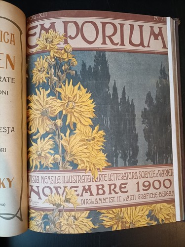 Emporium, anno 1900 da luglio a Dicembre, rivista rilegata - K12 - Foto 4 di 8