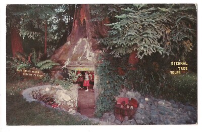 ETERNAL TREE HOUSE Sequoia Redwood TREE Redcrest California Postcard CA 1958