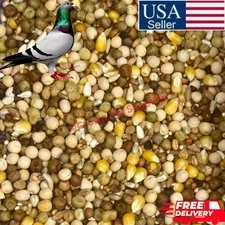 Bag Of Pigeon Seeds Wild Birds Food Great For Feeding Many Type Of Grains…