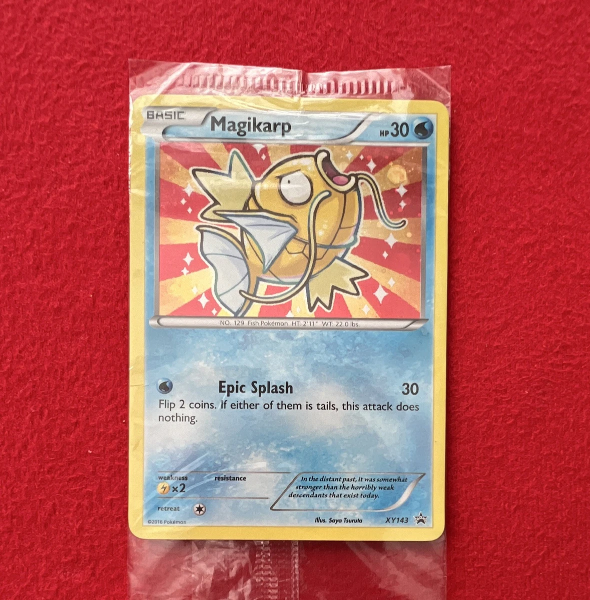 精灵宝可梦换式卡牌游戏XY 密封收藏卡游戏包| eBay