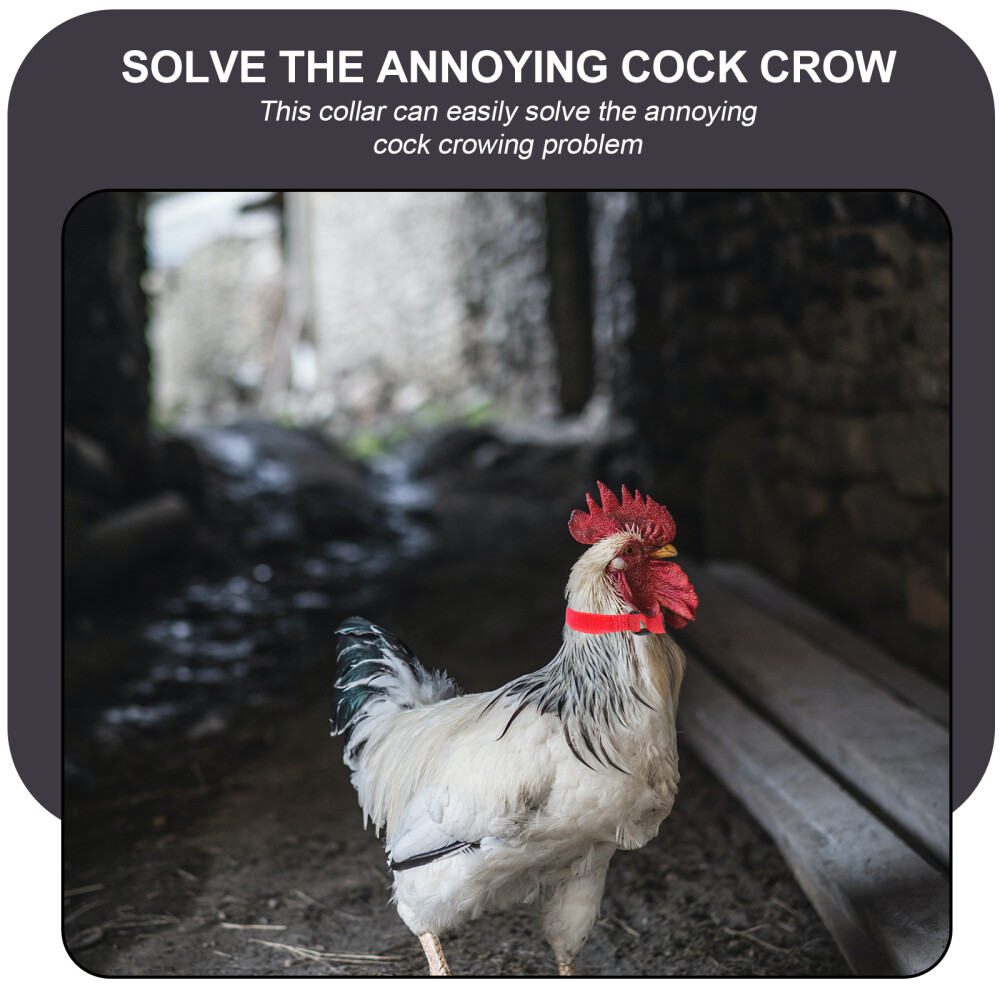 4 Pcs Chicken Neckband Rooster Collar to Stop Crowing Cock Strap Pet eBay