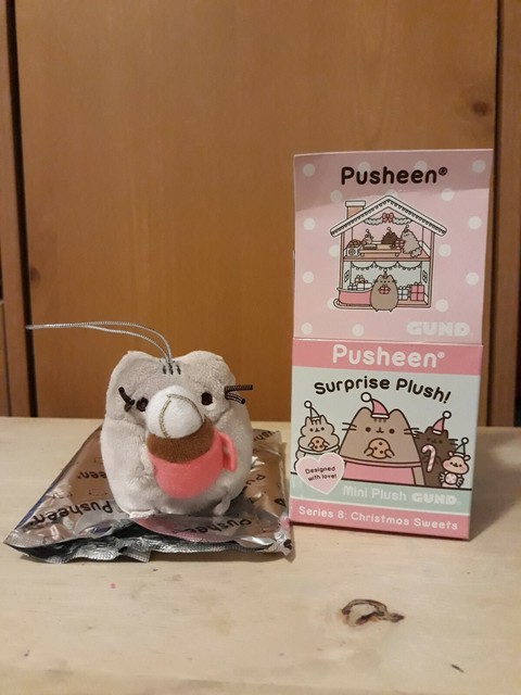 pusheen hot cocoa