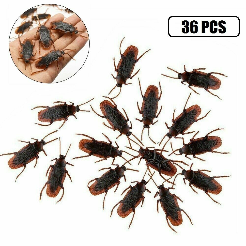 toy cockroaches
