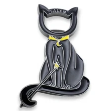 Salem Fridge Magnet Massachusetts Witch Cat Souvenir Travel Halloween US States