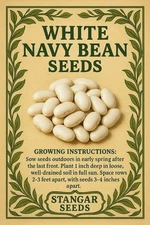 Navy Bean Seeds | For Planting Great White Northern Beans Vegetable Seed 2025