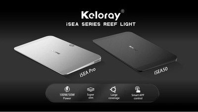 Keloray ISEA 100
