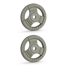 Gusseisen Hantelscheiben 1" Standard Tri Grip Paar 2 x 2,5 kg