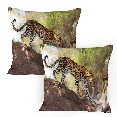 Leopard Baum Nature Reserve 2 Teiliges Kissenbezugs Set 40x80cm
