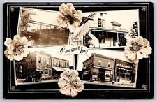 Chester IA Bridge~Main Sts~Home~Art Nouveau Pansies~Lawson General Store RPPC