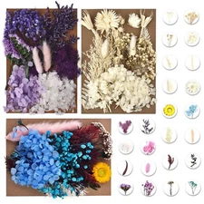 3 Pack Dried Pressed Flowers for Soap Candle Making and Resin Multiple Natura...