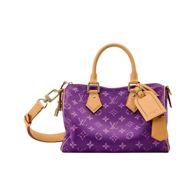 LOUIS VUITTON Speedy P9 BANDOULIÈRE 25 Leather Tote Bag for Men