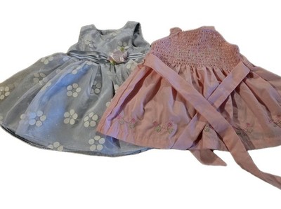 Lot Of 6 Baby Girl 6M Dress Flowers. Hoodie. Tshirt.  Vest