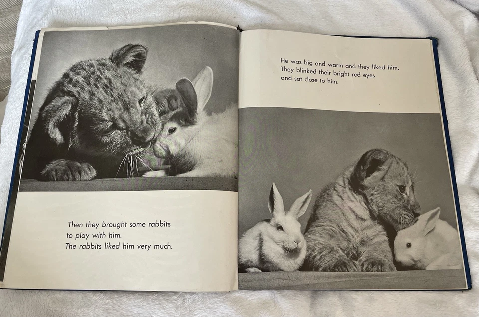 THE SLEEPY LITTLE LION - ORIGINAL (1947, by Margaret Wise Brown, photos by Ylla) - Imagem 3 de 3