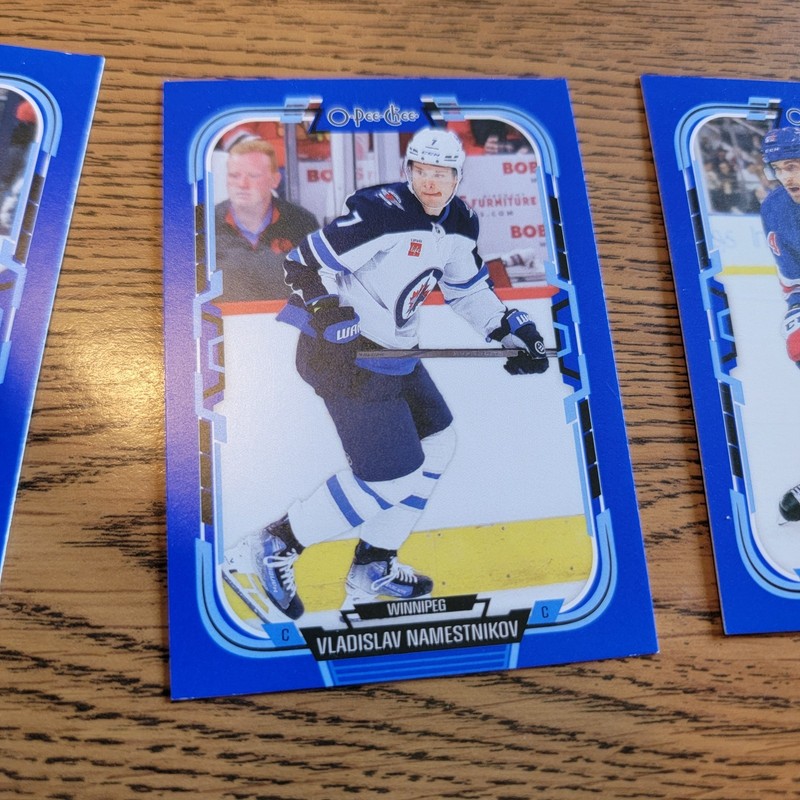 2025-26 O-Pee-Chee - Vladislav Namestnikov #450 Blue Border