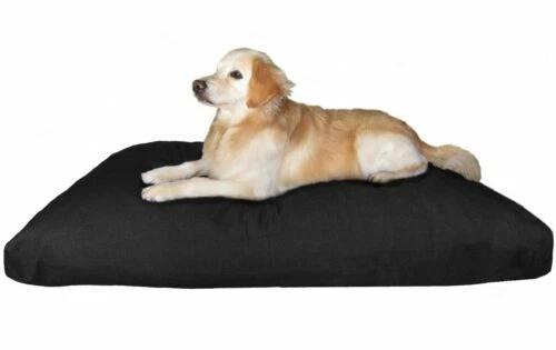 Canvas Covered Dog Beds