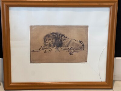 Art Print Lion Lying Down by Rembrandt van Rijn 22''x 18''