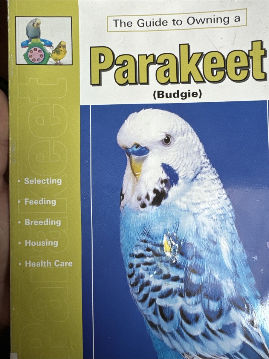 THE GUIDE TO OWNING A PARAKEET(BUDGIE) by John Bales 2004 PB