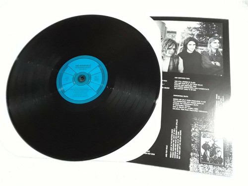 MEANWHILE Remaining Right: Silence LP Feral Ward Totalitar Tragedy Disfear - Imagen 3 de 3