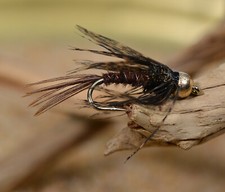 12 Flies BH Soft Hackle Pheasant Tail Fly Ass...