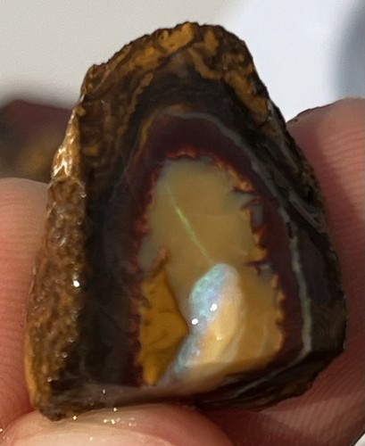 Yowah Nut Opal 187ct Parcel Australian Opals Rough Precious Stones - Bild 13 von 15