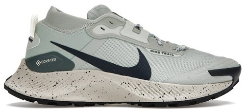 Nike Pegasus Trail 3 GTX (Mens Size 7.5) Sneaker Shoes DC8793 002