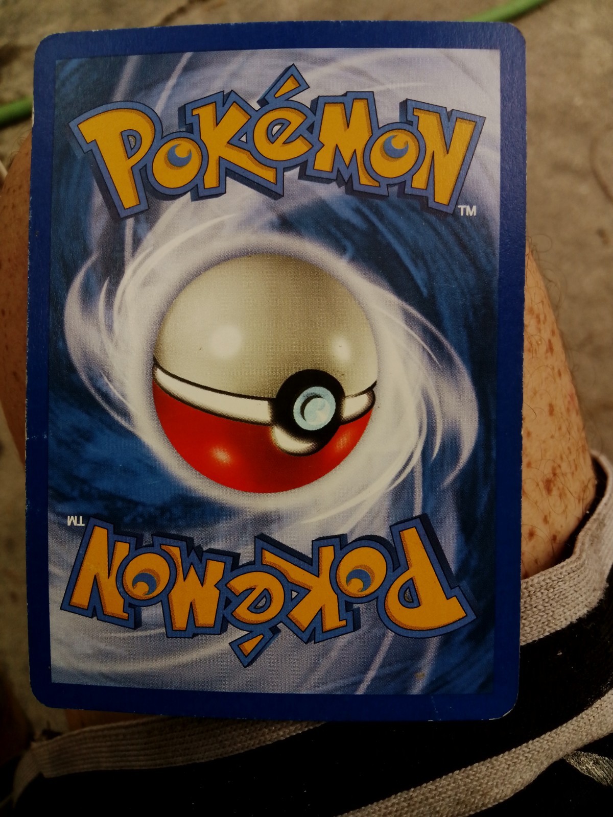 Pokemon Card - Chikorita Expedition Base Set 100/165 Common