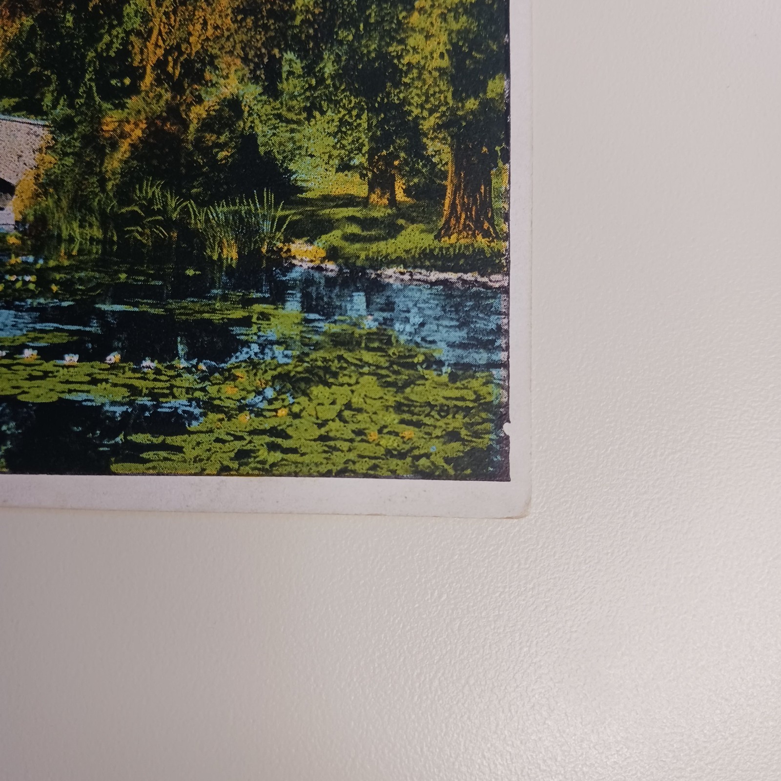 Foto 5 di 9