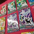 Foto 14 di 24