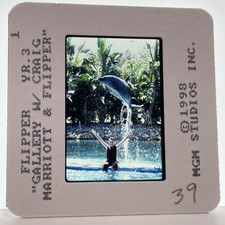 Flipper diapositiva 35mm anni 90 serie tv vintage promozione pubblicitaria #6