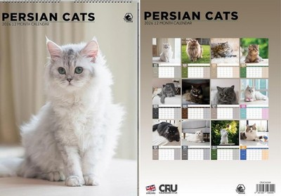 Persian Cats 2026 Calendar - A3 Size 30 x 42 cm