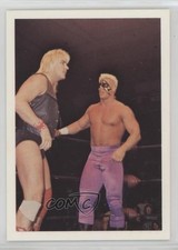 1988 Wonderama NWA Barry Windham & Sting #9 1fo3