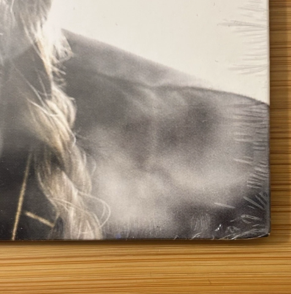 Willie Nelson "Sometimes Even I Get Too High"  7-Inch Vinyl - RSD 2019 - NEW - Image 3 of 4