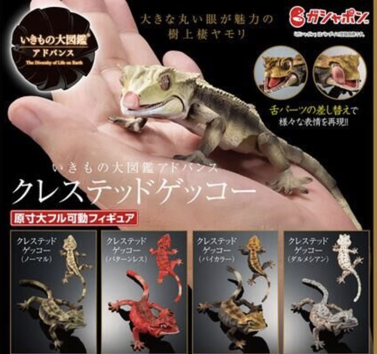 GECKO ゲッコー カホン ゲッコーカホン GECKO CAJON