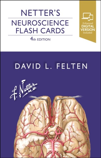Netters Neuroscience Flash Cards - Image 3