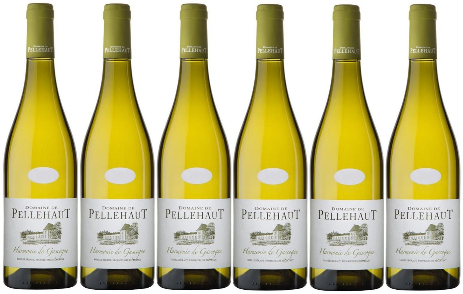 Domaine De Pellehaut Blanc (6 x 750ml - 10.5%)