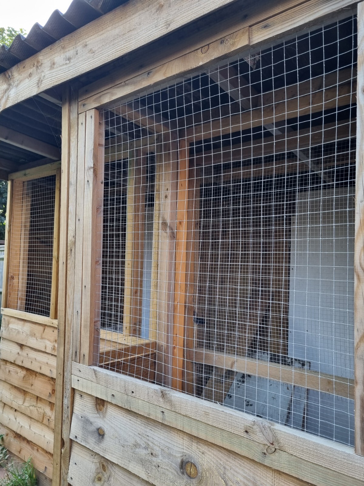 cattery cat housing, Animal Shed eBay